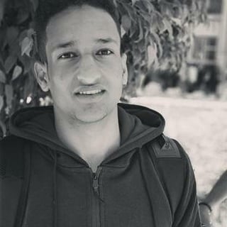 Mahmoud profile picture