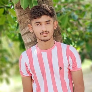 Mahmadamin Lodhiya profile picture