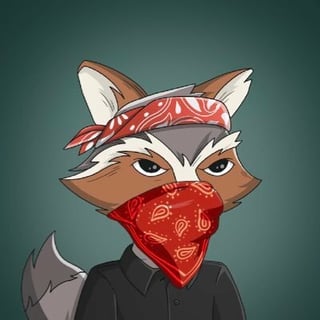 Raccoon Dev profile picture