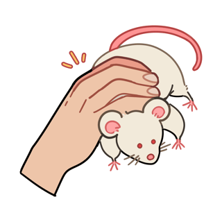 Anim Mouse profile picture