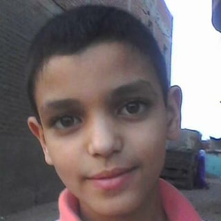 Mahmoud Shalaby profile picture