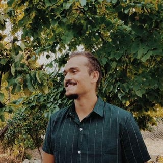 Daniel Simão profile picture