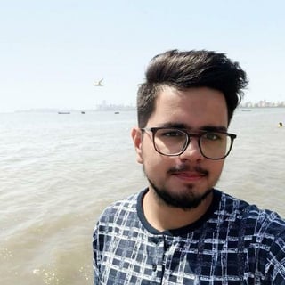 Ansh Narula profile picture