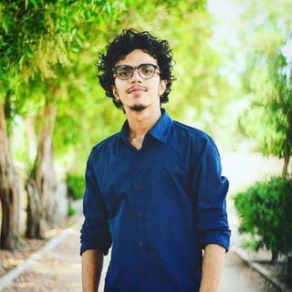 Salman Ghouri Dev profile picture