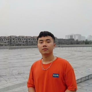 Lam Vu Hoang profile picture