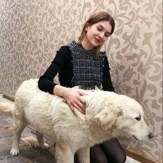 Olga Trykush profile picture