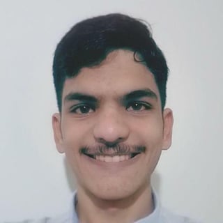 Saeed M Farahani profile picture