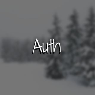 Auth profile picture