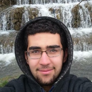 Mohammad Reza Karimi profile picture