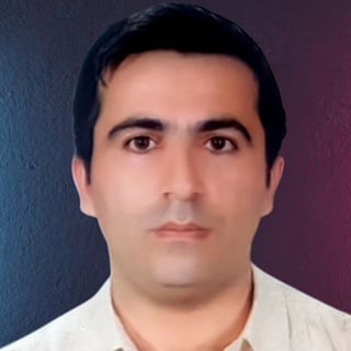 Esmaeil Ahmadipour profile picture
