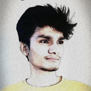 Anshu Meena profile picture
