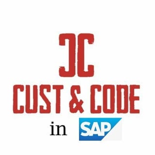 CustAndCode in SAP ABAP profile picture