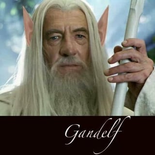 Gandelf profile picture