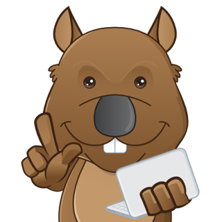 Bit Wombat profile picture