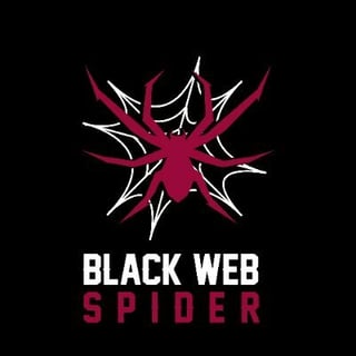 Black Web Spider - Web Design & Digital Marketing profile picture