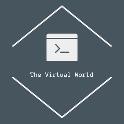 The Virtual World