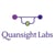 Quansight Labs profile image