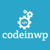 CodeinWP profile image