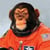 spacemonkey profile image