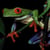 bbutlerfrog profile image