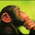 hominini profile image