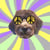 groovydog profile image