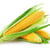 kukuruznik profile image