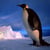 pingvin235 profile image