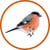 myblindbird profile image