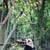 sloth_panda profile image