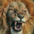 lionbeing profile image