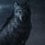 wolfdeveloper profile image