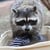 raccoon1515 profile image