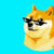 doge1346 profile image