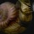 snailplissken profile image