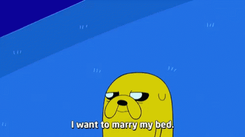 Jake from Adventure Time looking tired while walking and saying "I want to marry my bed."