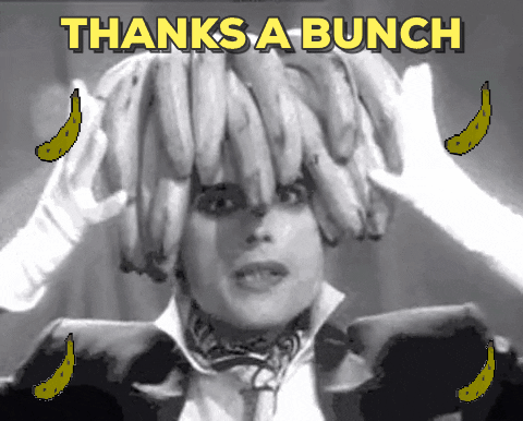 Person with a bunch of bananas on their head saying "Thanks a bunch"