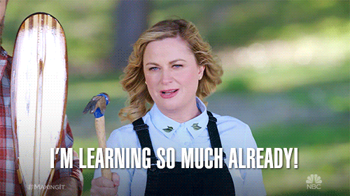Leslie Knope from Parks & Rec saying "I'm learning so much already!" while holding a hammer backwards