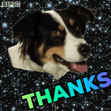 Dog floating in space with the word "thanks" on screen