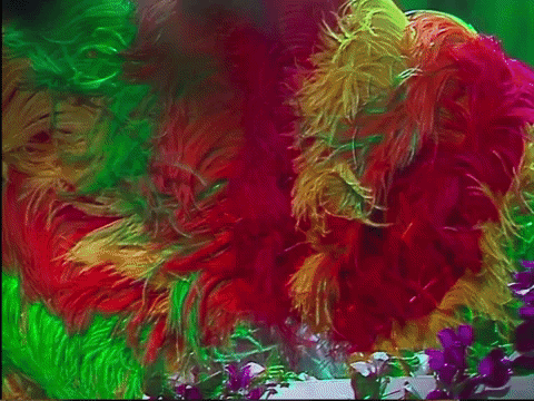 Elton John dressed up in colorful feathers, hiding his face behind a feathery hand fan before flinging it over his shoulder to expose his face.