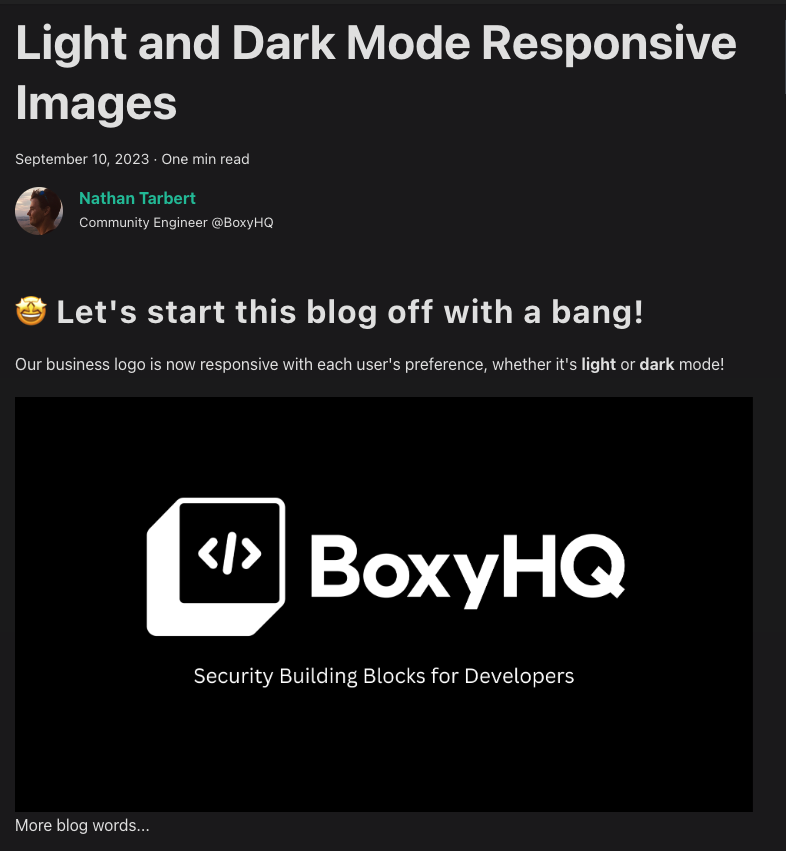 website dark mode