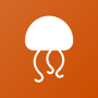 orangejellyfish profile image