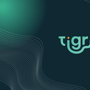 Tigris Data logo