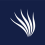 Kelp.Digital logo