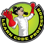 learncodeprofessor profile