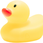 Programming Duck logo