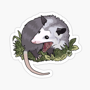 sleepy_possum profile