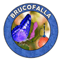 brucofalla profile