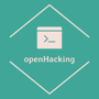 openhacking profile