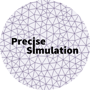 precise-simulation profile